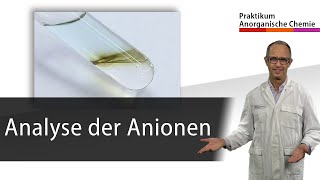 Analyse der Anionen  Praktikum Anorganische Chemie [upl. by Weir203]