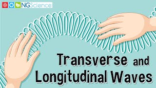 Transverse and Longitudinal Waves [upl. by Nikola620]