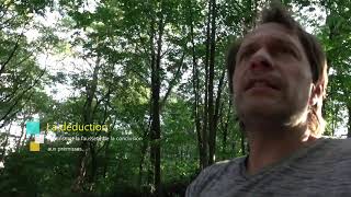 Cours 3  Intuition induction déduction abduction [upl. by Vittorio]