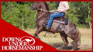 Clinton Anderson Handling a Rearing Horse  Downunder Horsemanship [upl. by Haldane]