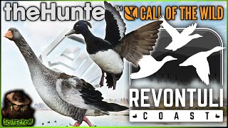 Diamond Tufted Duck amp Greylag Goose On The New Map Revontuli Coast Call of the wild EARLY ACCESS [upl. by Dustan]