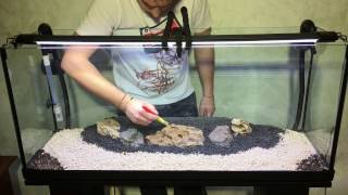 tutorial allestimento acquario aquarium [upl. by Odama]