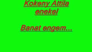 Kokeny Attila enekel  Banat engem [upl. by Yznyl]