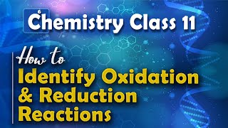 How to Identify Oxidation and Reduction Reactions  Redox Reactions  Chemistry Class 11 [upl. by Vadnee]