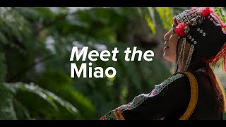 Meet the Miao [upl. by Sicular587]