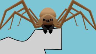 A Guide to Brown Recluse Spiders [upl. by Georgianna]