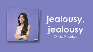 Olivia Rodrigo  jealousy jealousy Lyric Video [upl. by Yrdua]