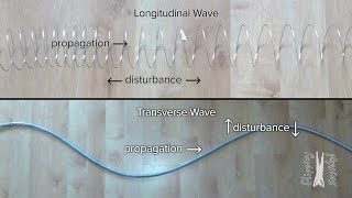 Introduction to Waves [upl. by Reinhart]