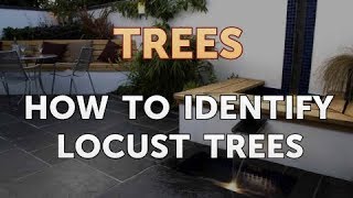 How to Identify Locust Trees [upl. by Garek]