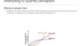 Perception 16 Laws and Theories [upl. by Azitram]