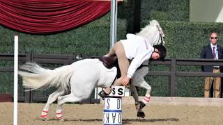 England Pony Club Mounted Games Windsor 2017 [upl. by Fiorenze]