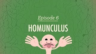 Homunculus Crash Course Psychology 6 [upl. by Anial766]