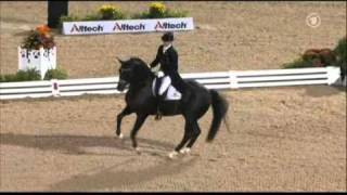 Totilas amp Edward Gal WEG Grand Prix Freestyle [upl. by Lokin611]