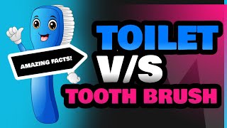 Toilet and Tooth Brush [upl. by Halac]