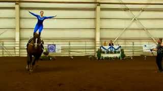 American Vaulting Championship  Gymnastics On Horseback  4 [upl. by Adkins146]