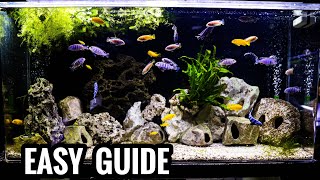 How to Setup an AFRICAN CICHLID Aquarium [upl. by Sherard]