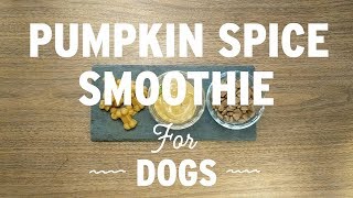 Pumpkin Spice Smoothie For Dogs Recipe  quotI and love and youquot Pet Food [upl. by Durarte]