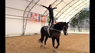 Equestrian Vaulting  1 Star Compulsories At The Trot [upl. by Nillad]