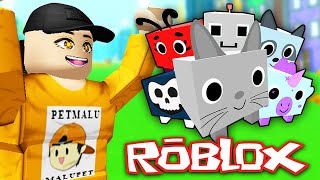 Pet Simulator ORIGINAL  Roblox  Part 1 [upl. by Asina]