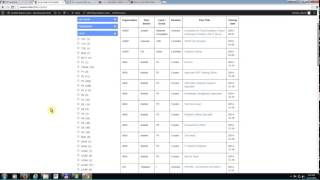 United Nations Salary Level and Grades [upl. by Myrlene787]