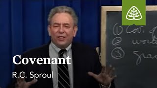 Covenant What is Reformed Theology with RC Sproul [upl. by Rahas]