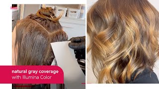 NaturalResult Gray Coverage with Illumina Color  Wella Professional [upl. by Thrasher399]