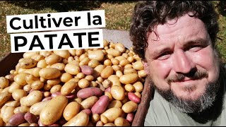 Comment cultiver la POMME de TERRE 🥔 [upl. by Son]