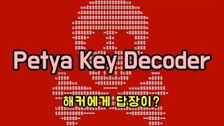 페트야Petya Red 복구툴 Petya key decoder  Decrypted files your money 돈빨러 초다 [upl. by Tena]