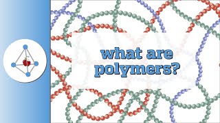 What are polymers [upl. by Ihcego372]