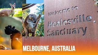 Healesville Sanctuary Melbourne Australia [upl. by Sarkaria]