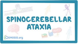 Spinocerebellar ataxia  causes symptoms diagnosis treatment pathology [upl. by Enelrihs943]