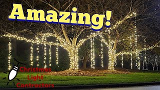 Professional tips How to hang lights from trees for Weddings and Christmas Lights [upl. by Prichard250]