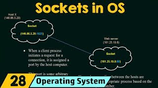 Sockets in Operating System [upl. by Merrie652]