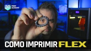 COMO IMPRIMIR 3D COM FILAMENTO FLEXÍVEL TPU TPE FLEX [upl. by Tessa]