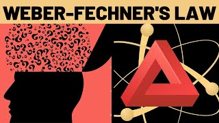 Weber Fechners Law Explained [upl. by Katrinka]