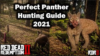 Perfect Panther Hunting guide for beginner in 2021  Red Dead Redemption 2  RDR2 [upl. by Eadas]