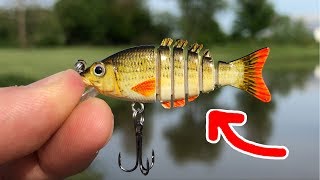 MICRO Jointed Swimbait  SMALLEST in the WORLD Surprising Results [upl. by Honeywell]