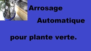 Arrosage automatique pour plante verte [upl. by Hazrit]