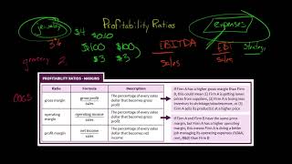 Profitability Ratios Margins  Financial Statement Analysis [upl. by Rennat]